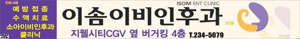 이솜이비인…